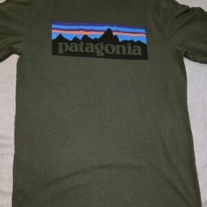 Patagonia Green Short Sleeve Tee with Iconic Logo